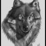 Oldwolf